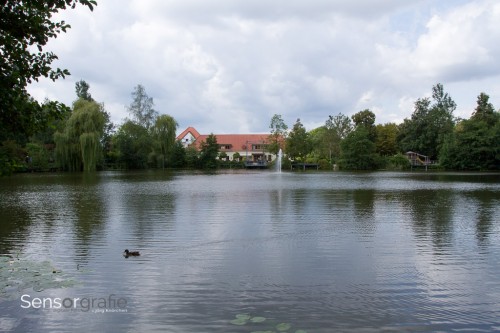 Foto ohne Einsatz von Filtern (1/320s)
