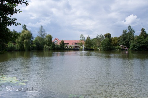 Foto mit ND Verlaufsfilter (1/125s)